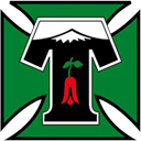 Temuco Sadp