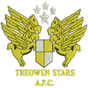 Treowen Stars