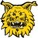 Tampereen