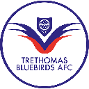 Trethomas Bluebirds