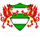 Brickfield Rangers