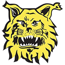 Tampereen Ilves 2
