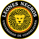 Leones Negros Udeg