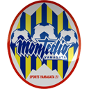 M Yamagata