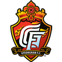 Gyeongnam FC