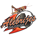 Alebrijes De Oaxaca FC