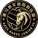 Wenzhou Professional